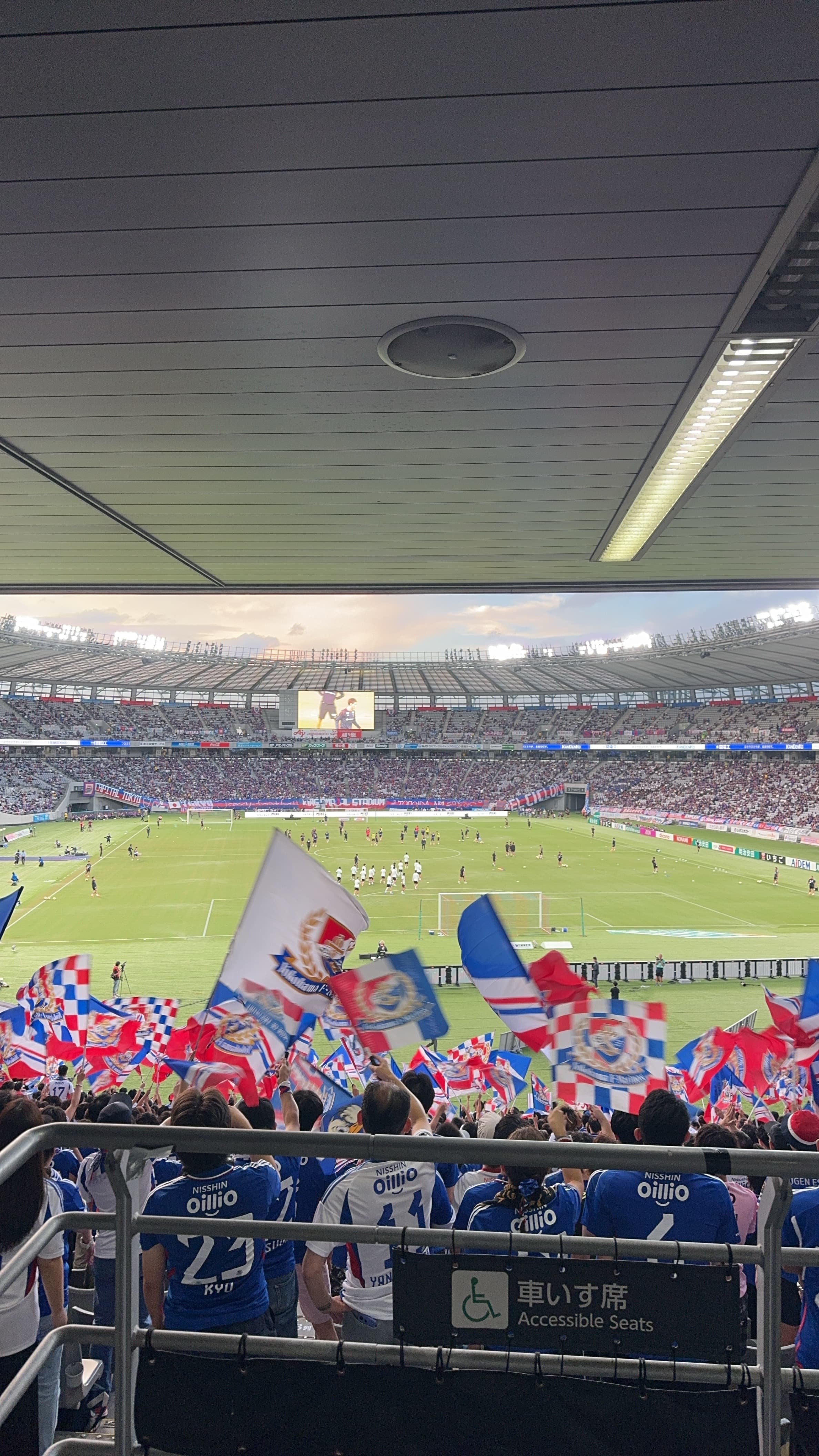 Ajinomoto Stadium Goal Lower