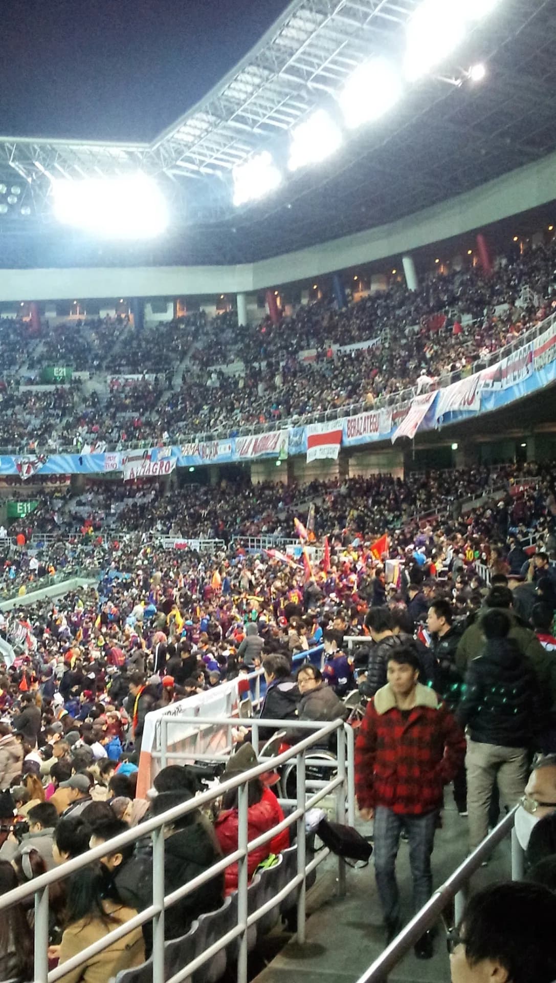 International Stadium Yokohama Goal Lower
